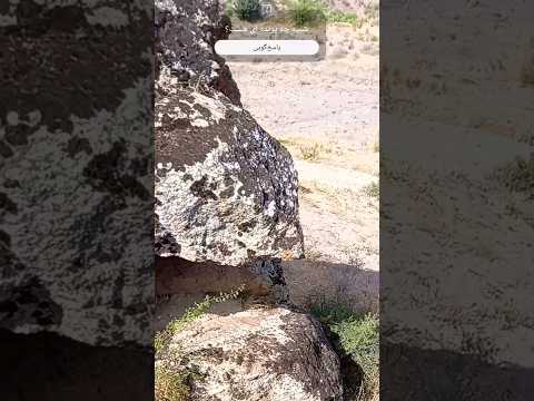 نماد پرنده در دفینه یابی